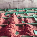 Wood Biomass Boiler Fuel Feed System - 4