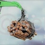 Timber Log Grab - 2