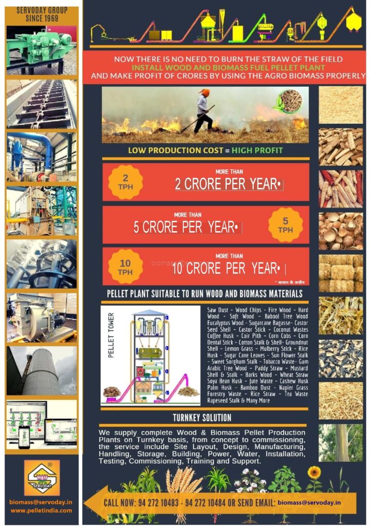 Tower Biomass Pellet Plant - 2